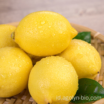 Buah segar nutrisi tinggi berair lemon